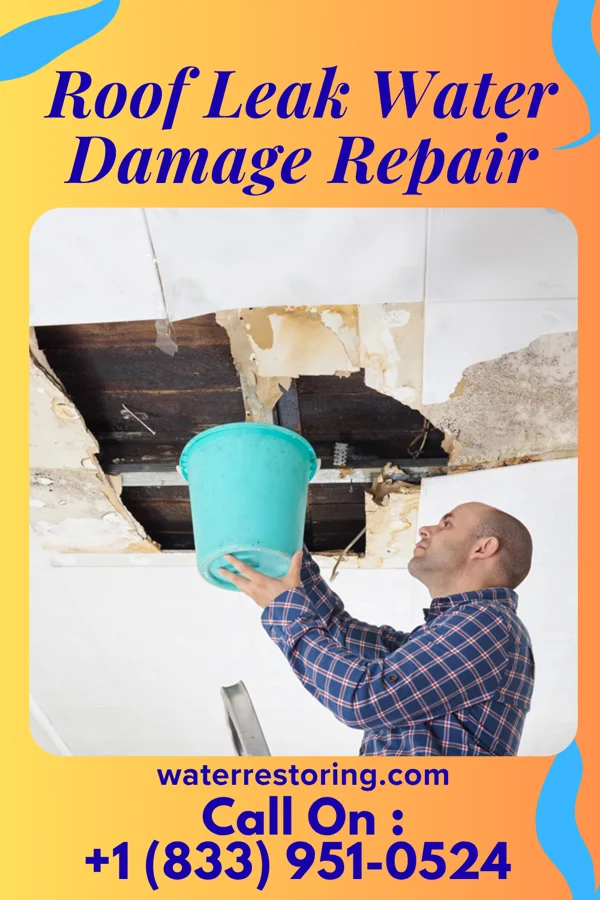 Roof Leak Water Damage Repair in Crandall, TX